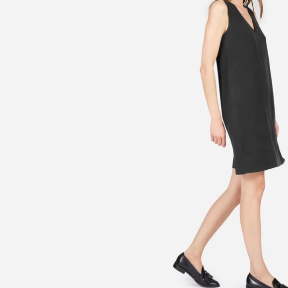 Everlane The Double-Lined Silk V-Neck Dress Size Medium - Picture 5 of 5